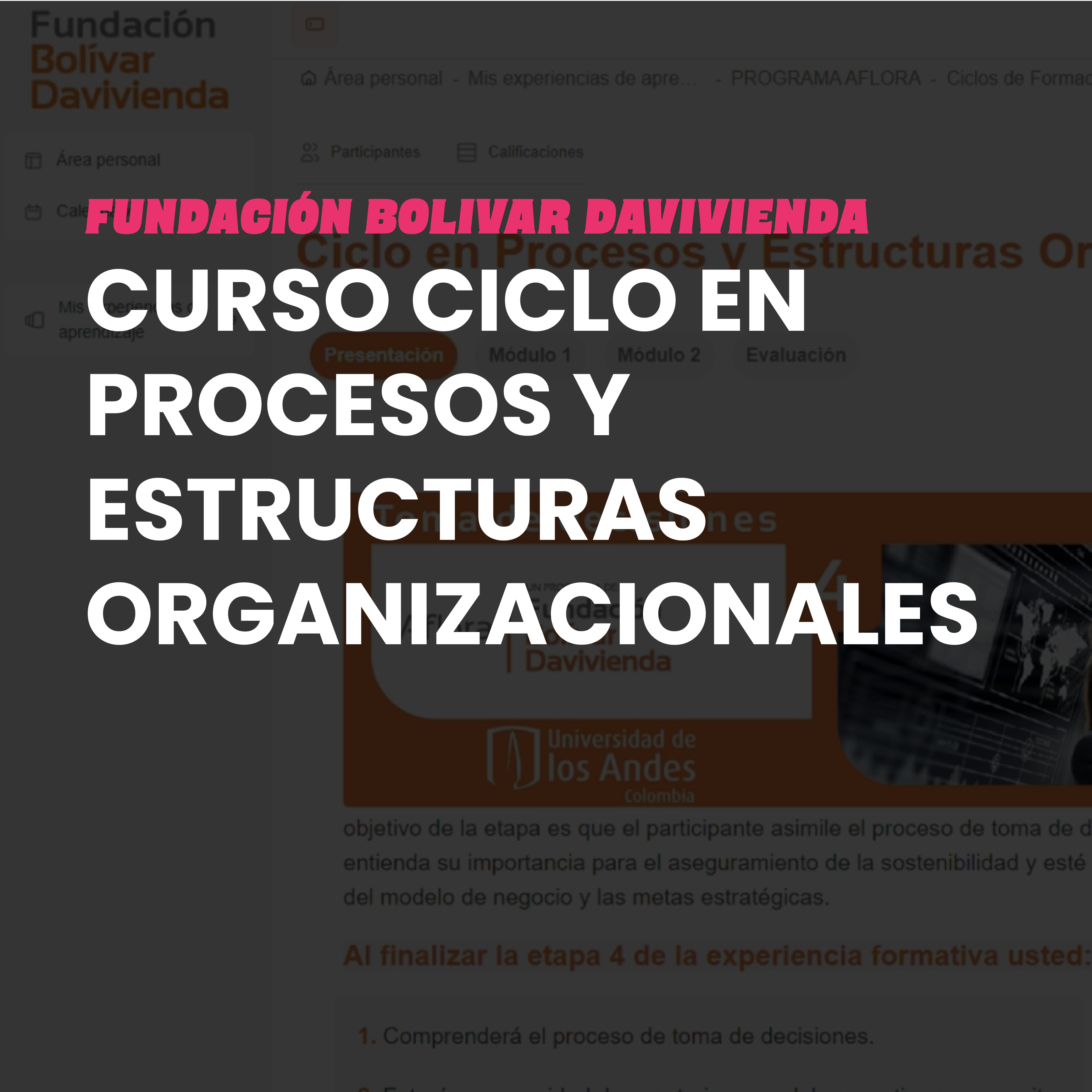 Curso: Ciclo en Procesos y Estructuras Organizacionales